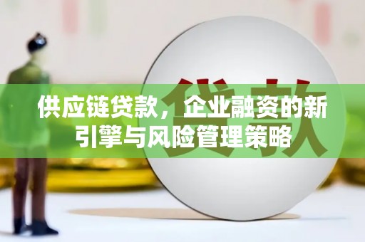 临海供应链贷款，企业融资的新引擎与风险管理策略