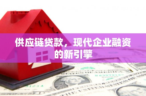 临海供应链贷款，现代企业融资的新引擎