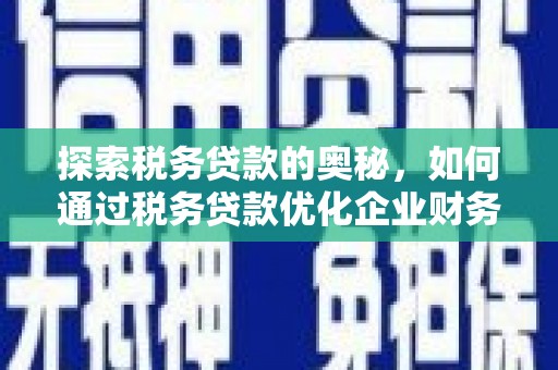 临海探索税务贷款的奥秘，如何通过税务贷款优化企业财务