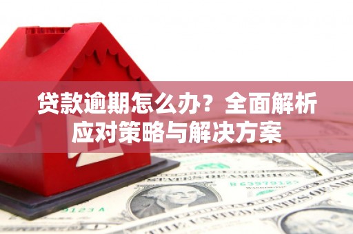 临海贷款逾期怎么办？全面解析应对策略与解决方案