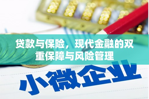临海贷款与保险，现代金融的双重保障与风险管理