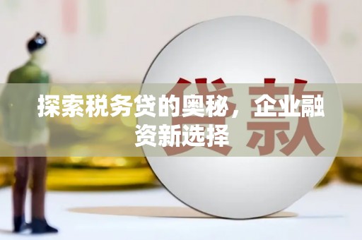 临海探索税务贷的奥秘，企业融资新选择