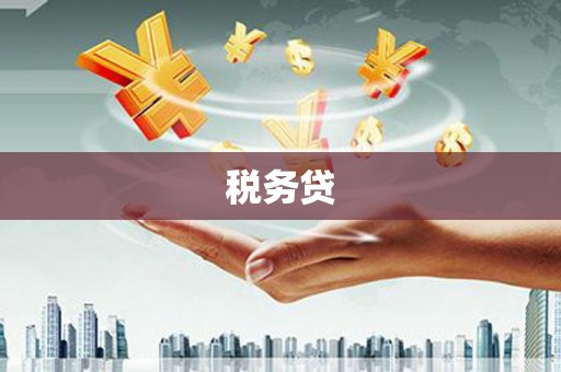 临海税务贷