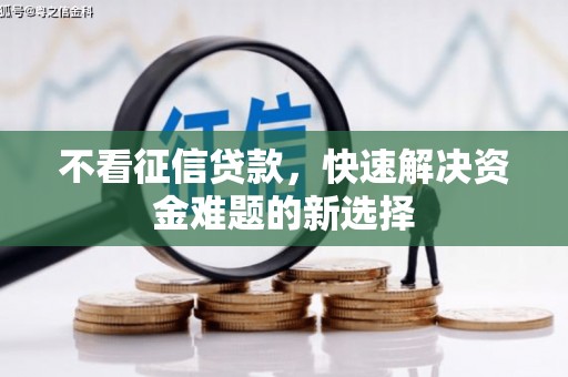 临海不看征信贷款，快速解决资金难题的新选择