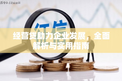 临海经营贷助力企业发展，全面解析与实用指南