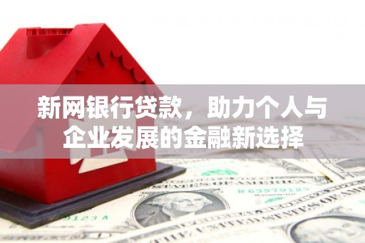 临海新网银行贷款，助力个人与企业发展的金融新选择