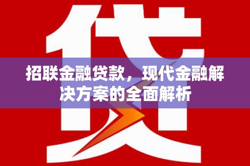 临海招联金融贷款，现代金融解决方案的全面解析