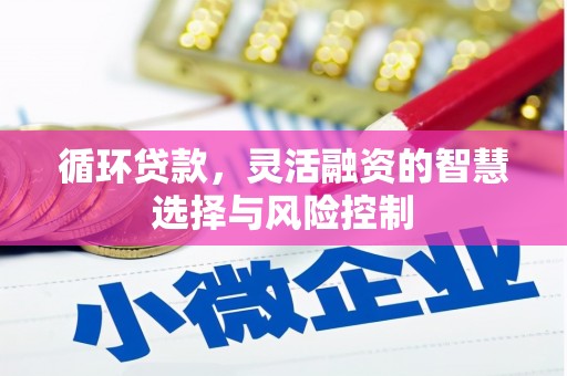 临海循环贷款，灵活融资的智慧选择与风险控制