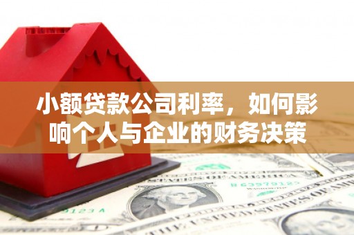 临海小额贷款公司利率，如何影响个人与企业的财务决策