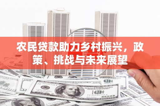 临海农民贷款助力乡村振兴，政策、挑战与未来展望