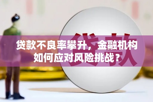 临海贷款不良率攀升，金融机构如何应对风险挑战？
