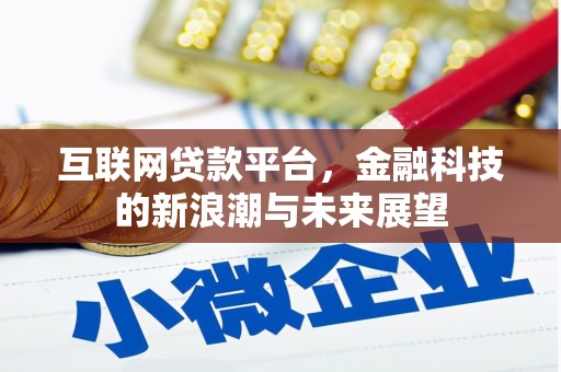 临海互联网贷款平台，金融科技的新浪潮与未来展望