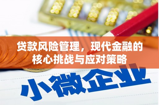 临海贷款风险管理，现代金融的核心挑战与应对策略