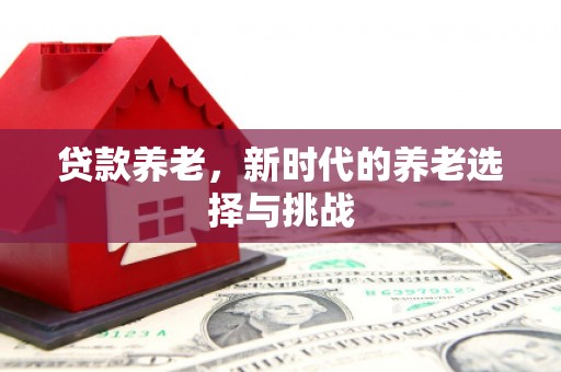 临海贷款养老，新时代的养老选择与挑战
