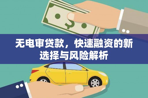 临海无电审贷款，快速融资的新选择与风险解析