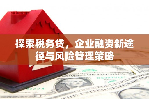 临海探索税务贷，企业融资新途径与风险管理策略