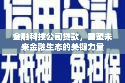 临海金融科技公司贷款，重塑未来金融生态的关键力量
