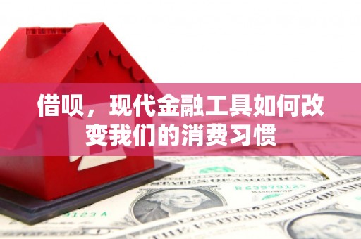 临海借呗，现代金融工具如何改变我们的消费习惯