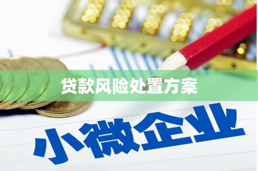 临海贷款风险处置方案