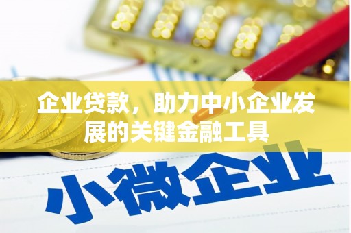 临海企业贷款，助力中小企业发展的关键金融工具