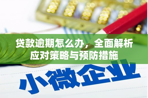临海贷款逾期怎么办，全面解析应对策略与预防措施
