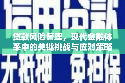 临海贷款风险管理，现代金融体系中的关键挑战与应对策略
