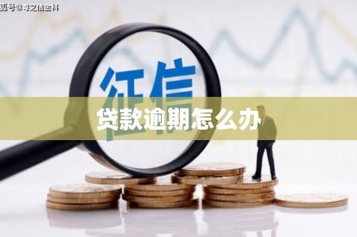 临海贷款逾期怎么办