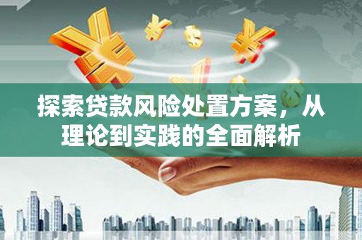 临海探索贷款风险处置方案，从理论到实践的全面解析