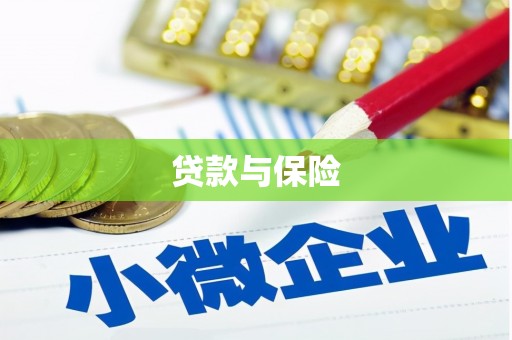 临海贷款与保险