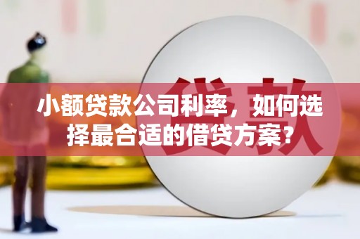 临海小额贷款公司利率，如何选择最合适的借贷方案？