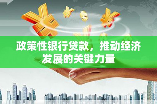 临海政策性银行贷款，推动经济发展的关键力量