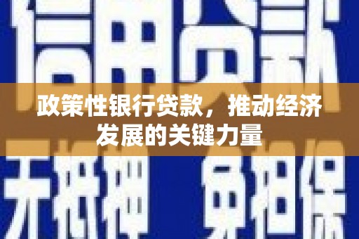 临海政策性银行贷款，推动经济发展的关键力量