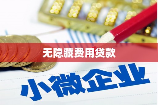 临海无隐藏费用贷款