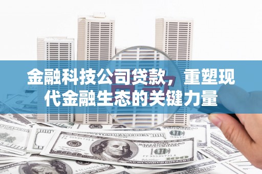 临海金融科技公司贷款，重塑现代金融生态的关键力量