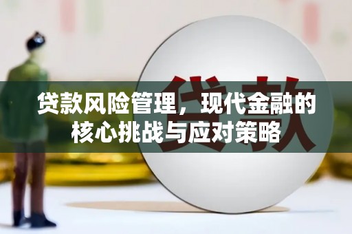 临海贷款风险管理，现代金融的核心挑战与应对策略