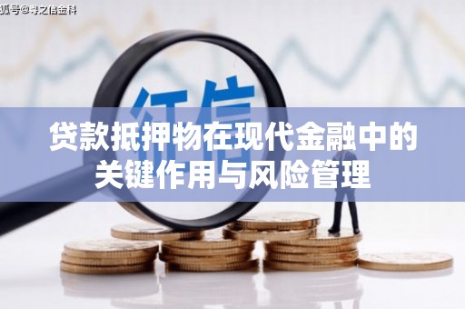 临海贷款抵押物在现代金融中的关键作用与风险管理