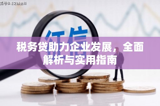 临海税务贷助力企业发展，全面解析与实用指南