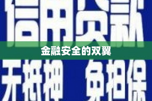 临海金融安全的双翼