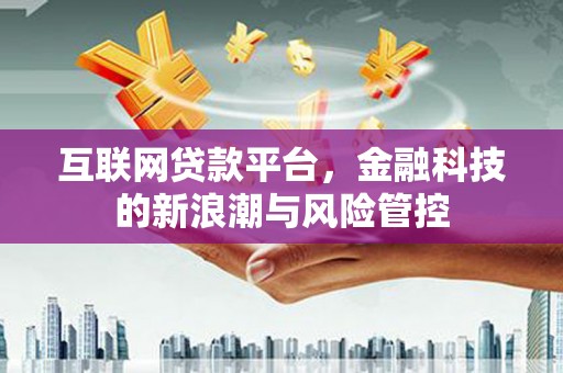 临海互联网贷款平台，金融科技的新浪潮与风险管控