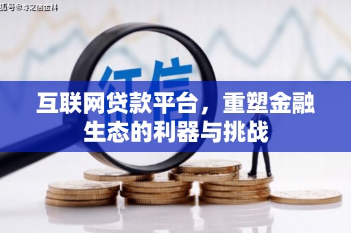 临海互联网贷款平台，重塑金融生态的利器与挑战