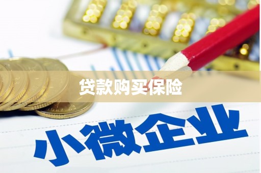 临海贷款购买保险