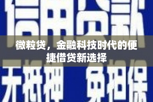 临海微粒贷，金融科技时代的便捷借贷新选择