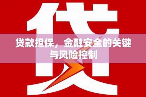 临海贷款担保，金融安全的关键与风险控制