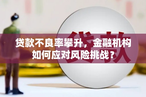 临海贷款不良率攀升，金融机构如何应对风险挑战？