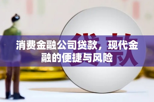 临海消费金融公司贷款，现代金融的便捷与风险