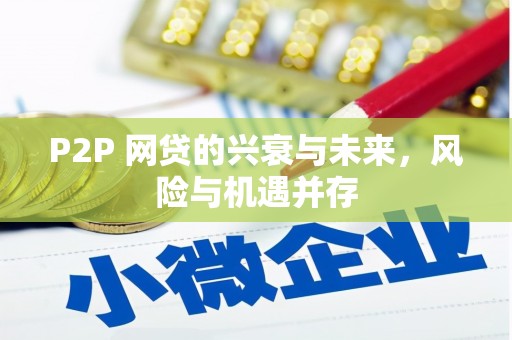 临海P2P 网贷的兴衰与未来，风险与机遇并存