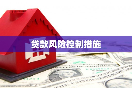 临海贷款风险控制措施