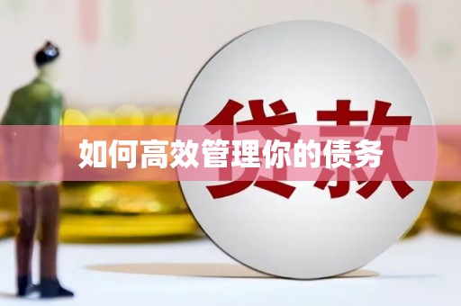 临海如何高效管理你的债务