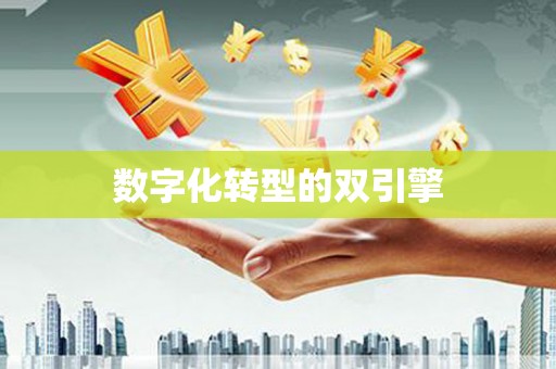 临海数字化转型的双引擎