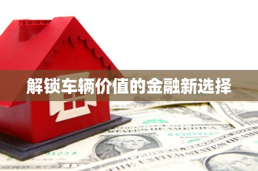 临海解锁车辆价值的金融新选择